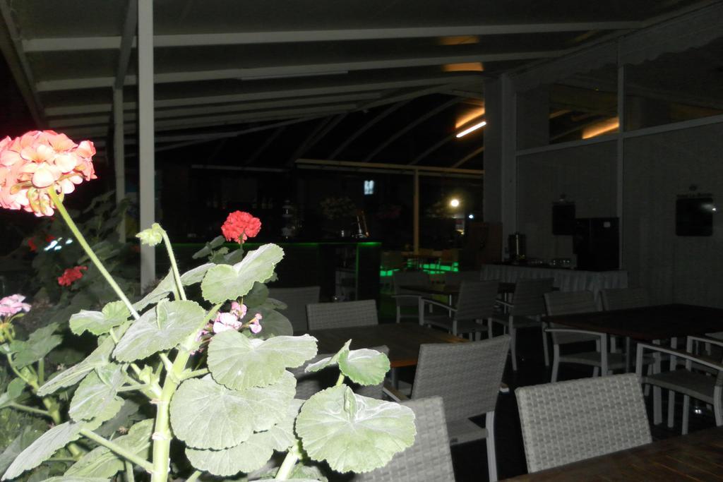 Hotel La Mosae Αλάνια Εξωτερικό φωτογραφία